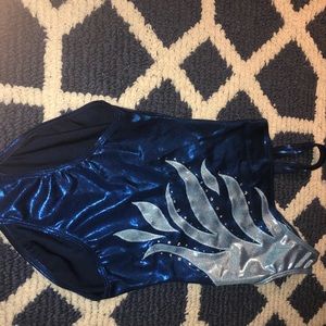 Blue and silver leotard